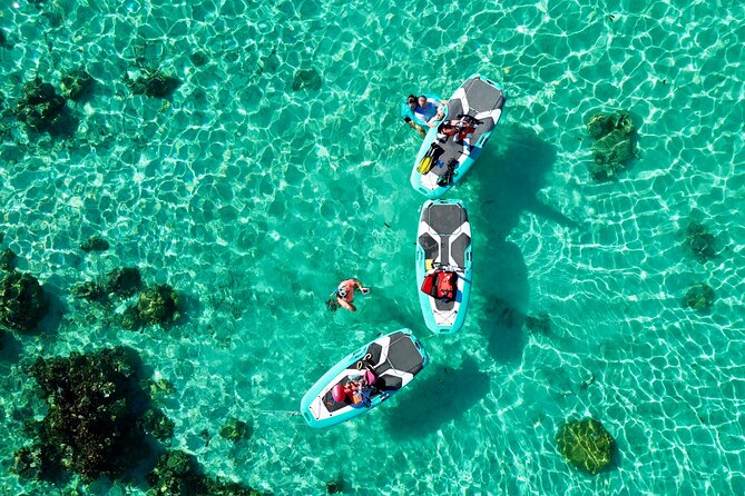 Private Excursion with E-Board in Moorea with snorkeling - Who should book this Moorea outing?