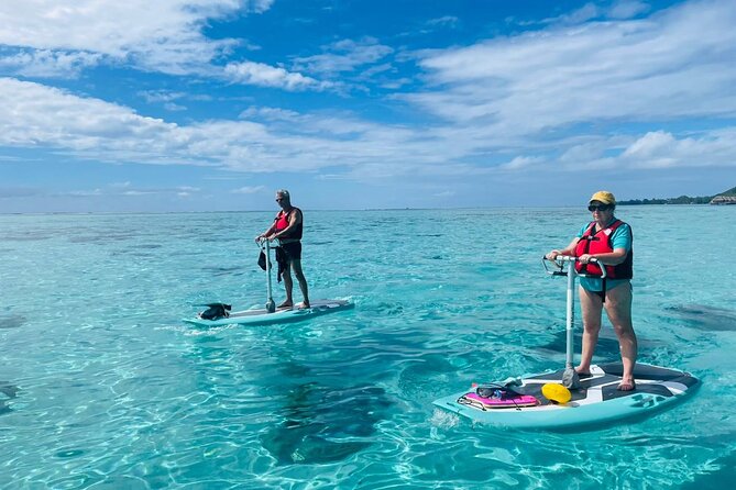 Private Excursion with E-Board in Moorea with snorkeling - Meeting Lucie and Ben in Maharepa