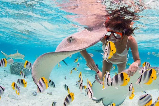 Private Full Day Aquatic Photo Tour + Resort Photo-Shoot (All inclusive) - What this Bora Bora photography tour really offers