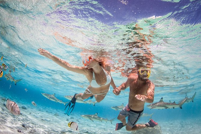 Private Full Day Aquatic Photo Tour + Resort Photo-Shoot (All inclusive) - Semi-submerged photos are the signature feature