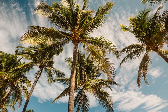 Private Full-Day Lagoon Adventure in Bora Bora with BBQ Lunch - A Polynesian Lunch Around 12:30 p.m.