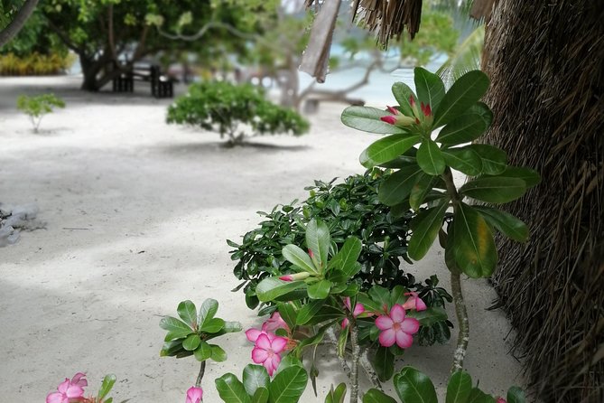 PRIVATE FULL DAY LAGOON TOUR - Bora Bora Cultural Lagoon Tour - A traditional canoe rather than a standard tour boat