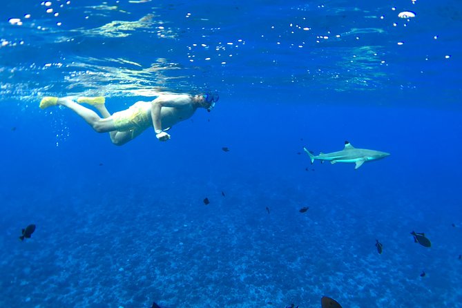 PRIVATE FULL DAY LAGOON TOUR - Bora Bora Cultural Lagoon Tour - Manta rays are possible, not promised