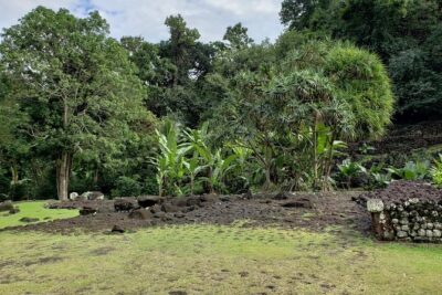 Private Full-Day Tahiti — Grotto, Gardens & Panoramas