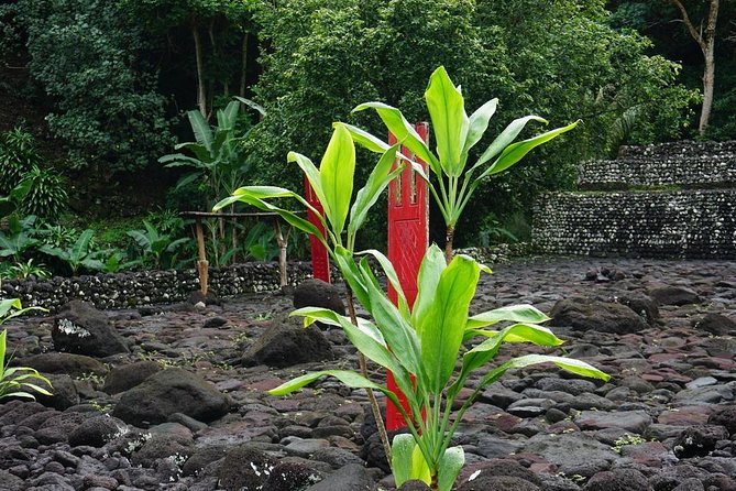 Private Full-Day Tahiti — Grotto, Gardens & Panoramas - Papeari is the natural lunch pause