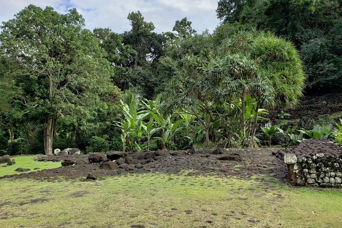 Private Full-Day Tahiti — Grotto, Gardens & Panoramas - The lookout above Hilton Hotel starts with the big picture