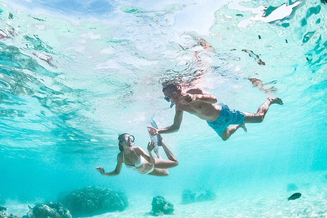 PRIVATE Full Day Tour : Moorea Snorkeling & Sailing on a Catamaran named Taboo - A quiet beach stop and your own picnic