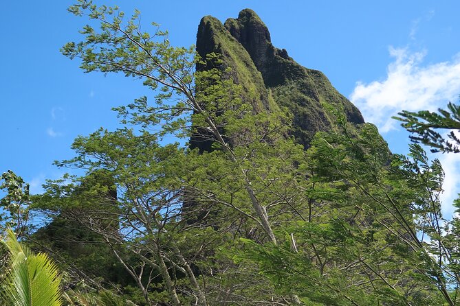 Private Half-Day Hike in the Opunohu Valley in Moorea - The payoff at the higher viewpoints