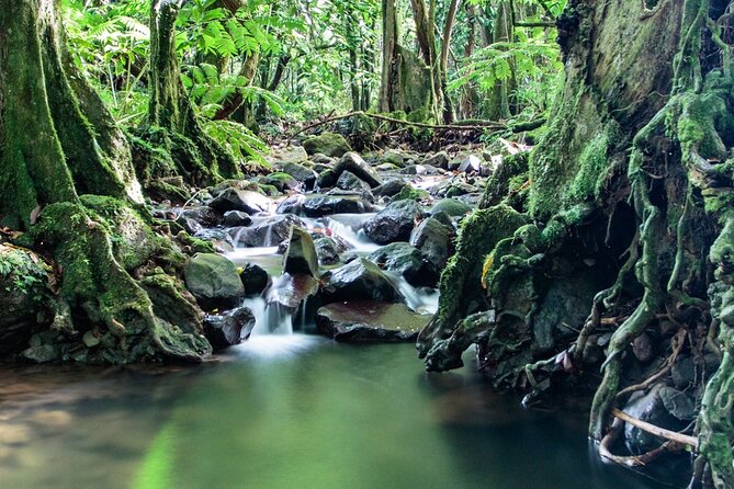 Private Half-Day Hike in the Opunohu Valley in Moorea - Four hours, pickup, and meeting details