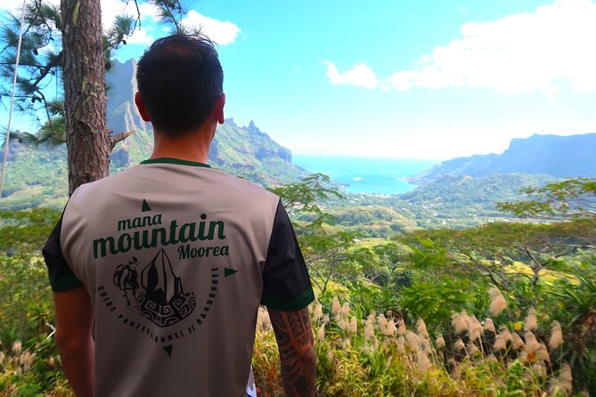 Private Half-Day Hike in the Opunohu Valley in Moorea - Learning Moorea’s plant life on the trail