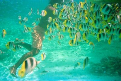 Private Half Day Sailing Excursion on the Lagoon of Tahiti