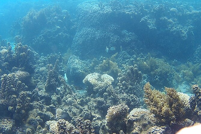 Private Half Day Sailing Excursion on the Lagoon of Tahiti - The Boat: Character Versus Comfort