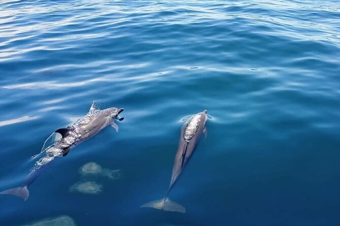 Private Half Day Sailing Excursion on the Lagoon of Tahiti - What to Pack for Nearly Four Hours