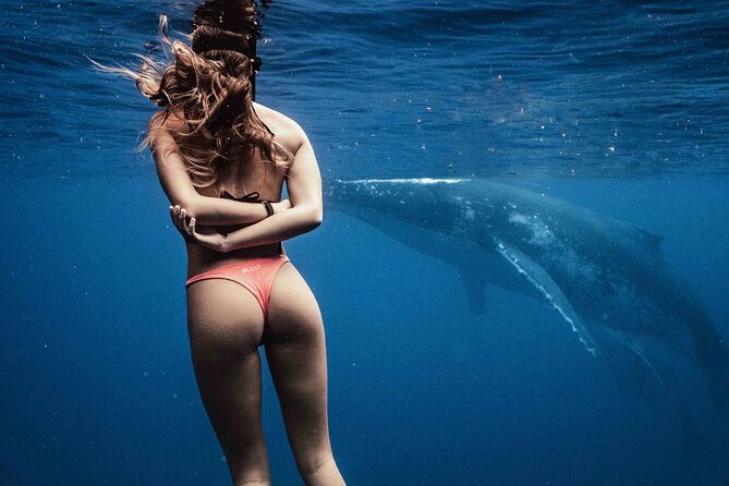 Private Half Day Whale Watching Tour - Why six people changes the whale-watching experience