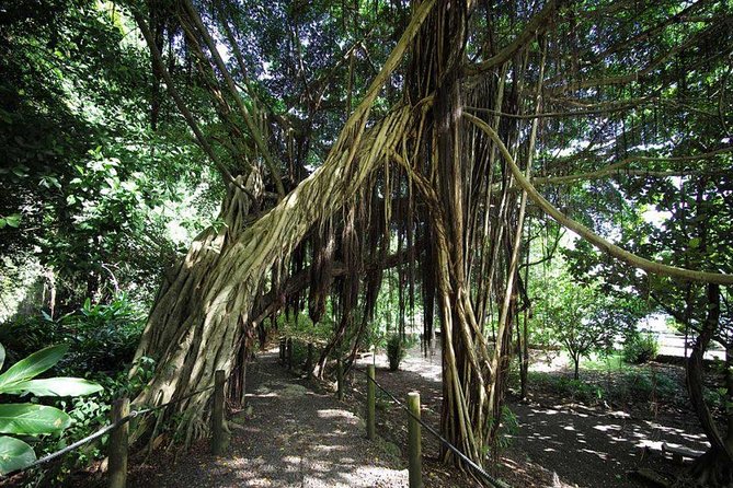 Private Island Tour ( 5 HOURS) - Faarumai Waterfalls through Tiarei