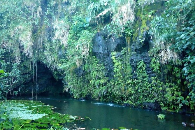 Private Island Tour ( 5 HOURS) - What the guides add to the ride