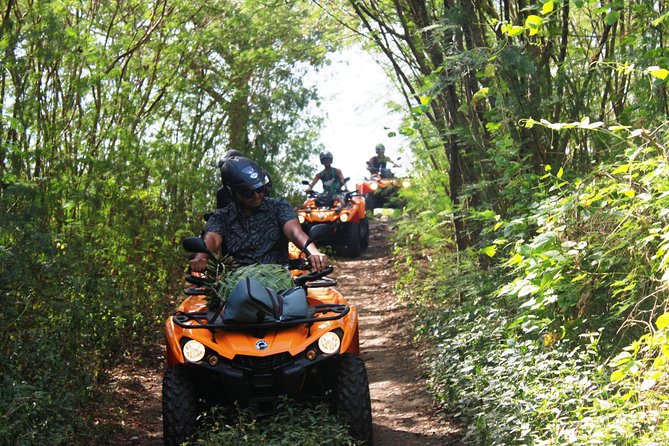 Private Island Tour by ATV / QUAD - Three off-road trails for a more active ride