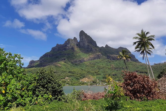 Private Island Tour by ATV / QUAD - Starting at 9:00 am on the island