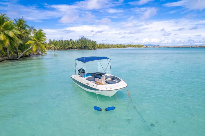 Private Jetboard Lessons with Instructor in Bora Bora - Weather, cancellation, and planning the day