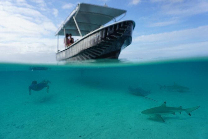 Private Lagoon Exploration and Snorkeling in Moorea - What the Four-Hour Route Includes