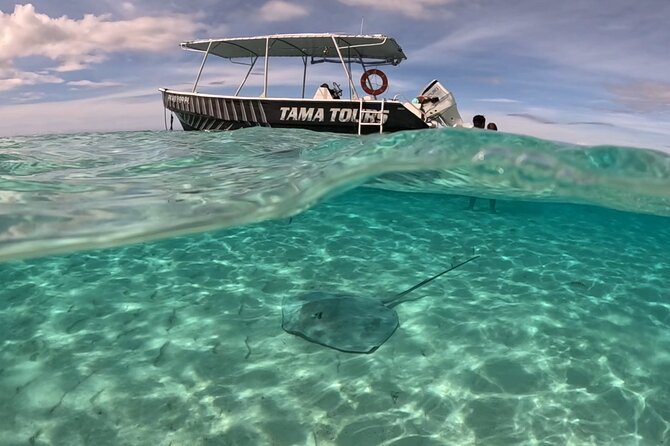 Private Lagoon Exploration and Snorkeling in Moorea - Who Will Get the Most From This Trip