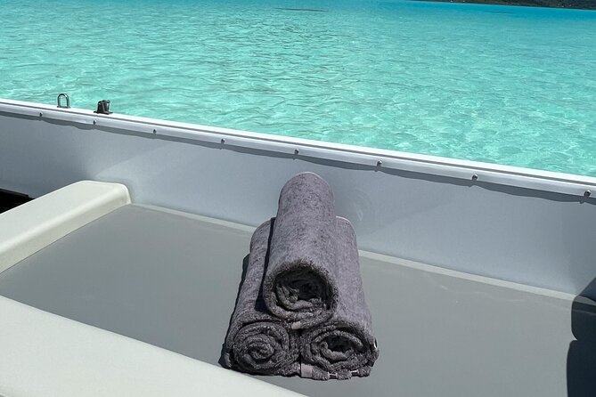 Private Lagoon Tour on a Prestigious Pontoon Boat in Bora Bora - How much value do you get for $971.71?