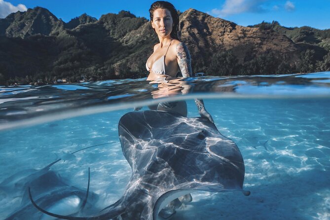 Private Marine Wildlife Adventure with Underwater Photography - Key points to know before booking