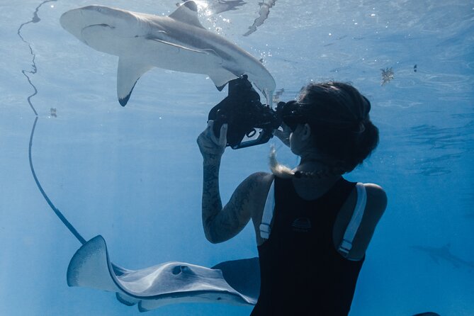 Private Marine Wildlife Adventure with Underwater Photography - Why the underwater photography changes the value