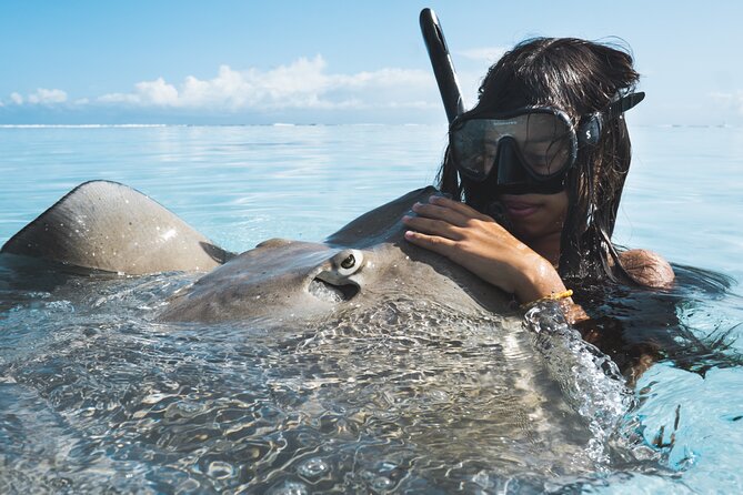 Private Marine Wildlife Adventure with Underwater Photography - The lagoon: a calmer start for wildlife watching