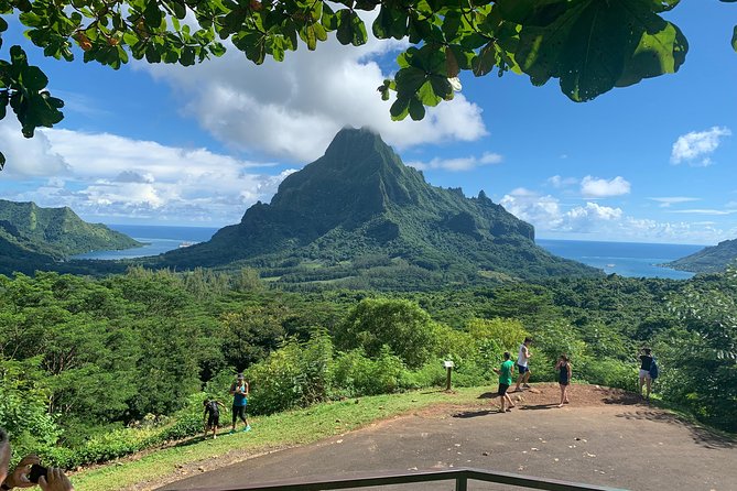 Private Morning Moorea 4WD Tour with Champagne - Pineapple fields show Moorea at working ground level