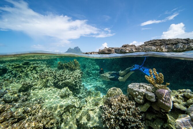 Private Reef Discovery Luxury Dream Day Tour in Bora Bora - The hotel break changes the shape of the day