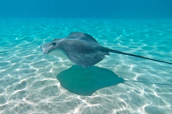 PRIVATE Sunset Tour: Moorea Snorkeling on a Catamaran named Taboo - Relaxing on Taboo between water stops