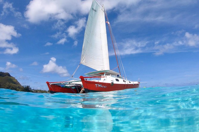 PRIVATE Sunset Tour: Moorea Snorkeling on a Catamaran named Taboo - Leo, Lucas, and the personal guide style