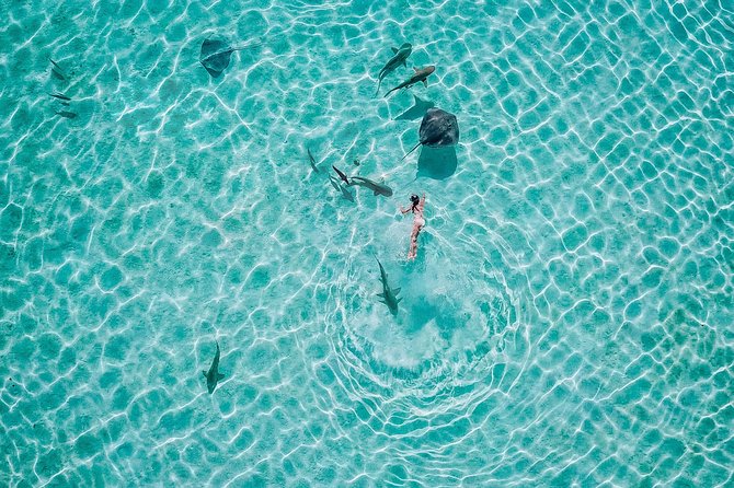 PRIVATE Sunset Tour: Moorea Snorkeling on a Catamaran named Taboo - Timing, comfort, and the small details