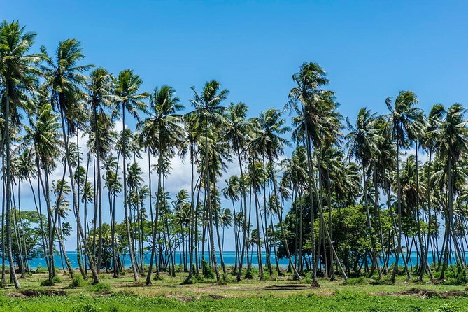 Private Tahiti Circle Island - Waterfalls, Black Sand & Views - A practical five-hour loop around Tahiti