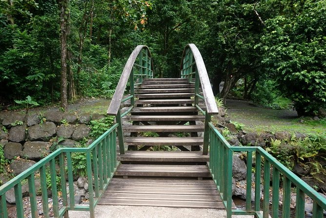 Private Tahiti Circle Island - Waterfalls, Black Sand & Views - Vaipahi Water Gardens for the best short walk