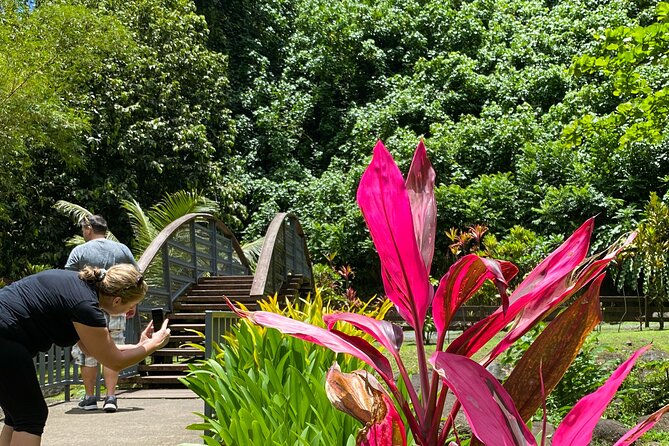 Private TAHITI Half Day Circle Island Tour (Departs 8am or 1pm) - Morning or afternoon: choosing the better departure