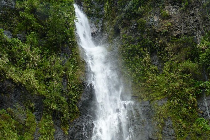 private Tahiti island discovery - What the guide adds inside the van
