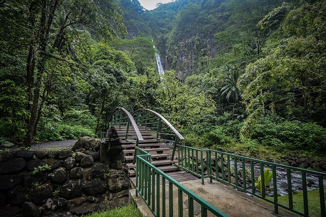 Private : Tahiti Museum & Circle Island Tour, Afternoon Tour (5h) - Vaipahi Gardens and the turn toward Tahiti Iti