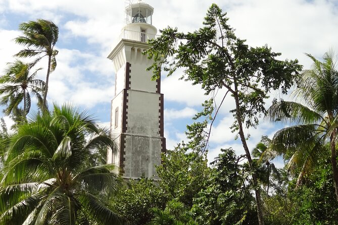 Private : Tahiti Museum & Circle Island Tour, Afternoon Tour (5h) - What the guide and vehicle add