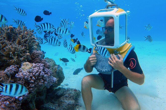 Private Tour: Aqua Safari Scuba Diving - A three-meter walk through Bora Bora’s lagoon