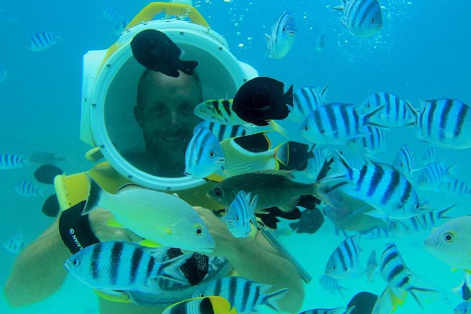 Private Tour: Aqua Safari Scuba Diving - Why the private format matters at $765.22