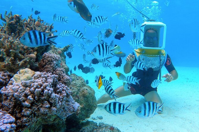 Private Tour: Aqua Safari Scuba Diving - The marine setting deserves care
