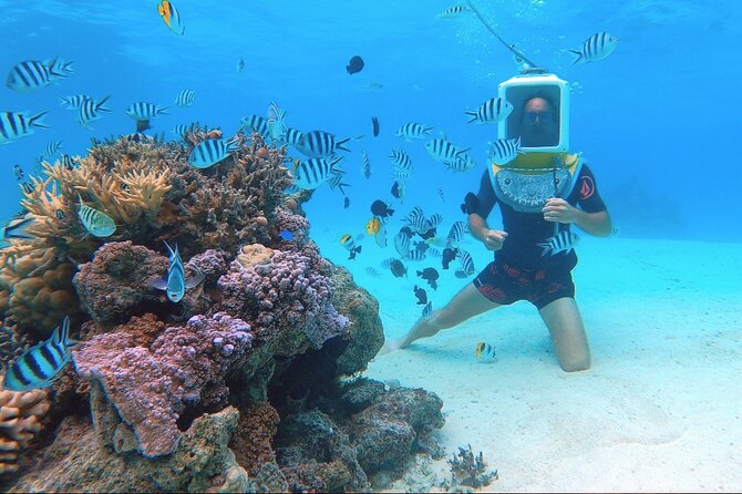Private Tour: Aqua Safari Scuba Diving - Booking ahead and keeping your schedule flexible