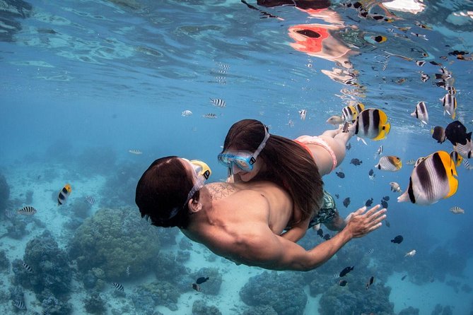 Private Tour: Bora Bora Lagoon Eco Snorkel Cruise - 3hrs or 6hrs - The guide can make or break the day