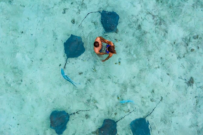 Private Tour: Bora Bora Lagoon Eco Snorkel Cruise - 3hrs or 6hrs - Choosing three hours or six hours
