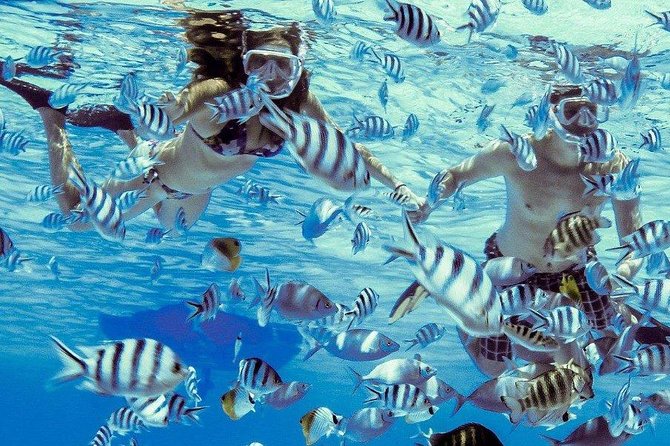 Private Tour: Bora Bora Lagoon Eco Snorkel Cruise - 3hrs or 6hrs - What the eco approach means in practice