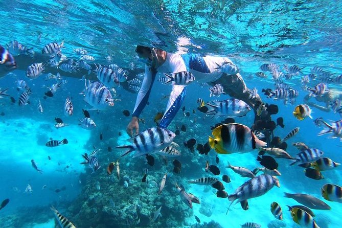 Private tour from Raiatea - 1/2 day excursion to Tahaa or other - Choosing two of Taha’a’s main stops