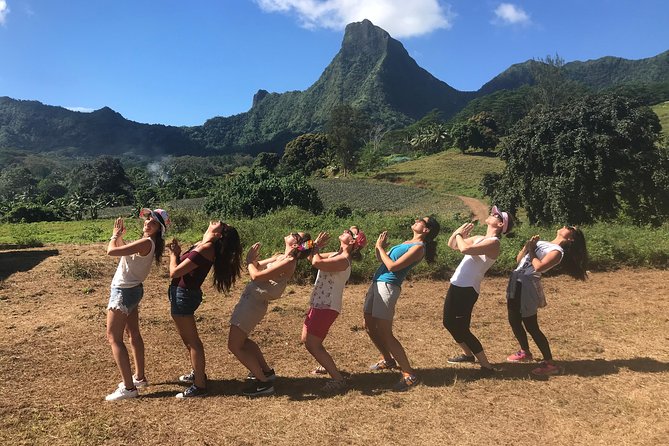 Private Tour Moorea 4WD - Belvedere Pineapple Farm, Magic Mount. - Magic Mountain: the tour’s main view