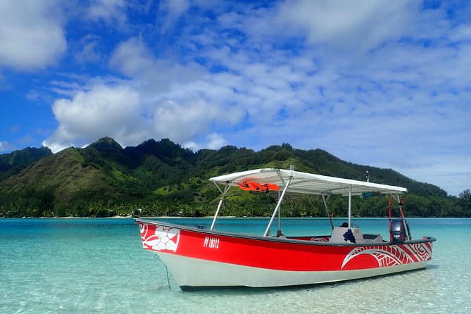 Private tour observing and swimming with humpback whales in Moorea - What the guides add to the day
